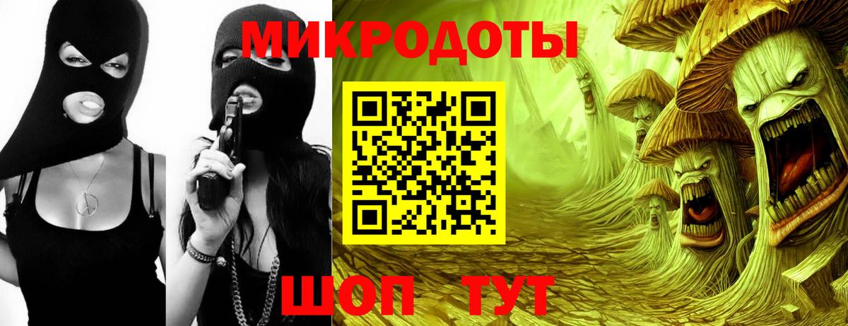 Галлюциногенные грибы прущие грибы Гурьевск