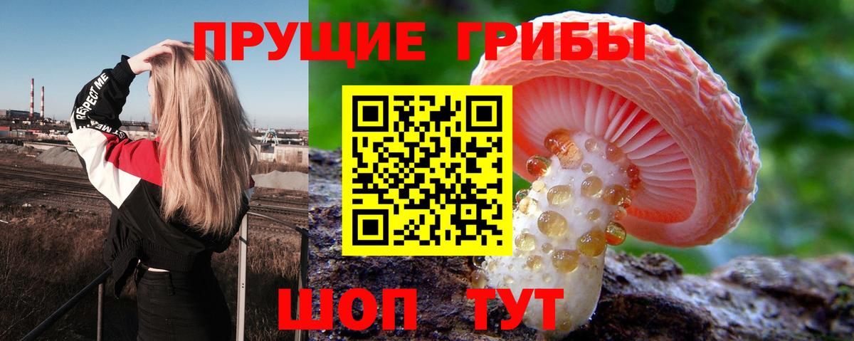 Псилоцибиновые грибы ЛСД  Вход с VPN  как найти закладки  Гурьевск 