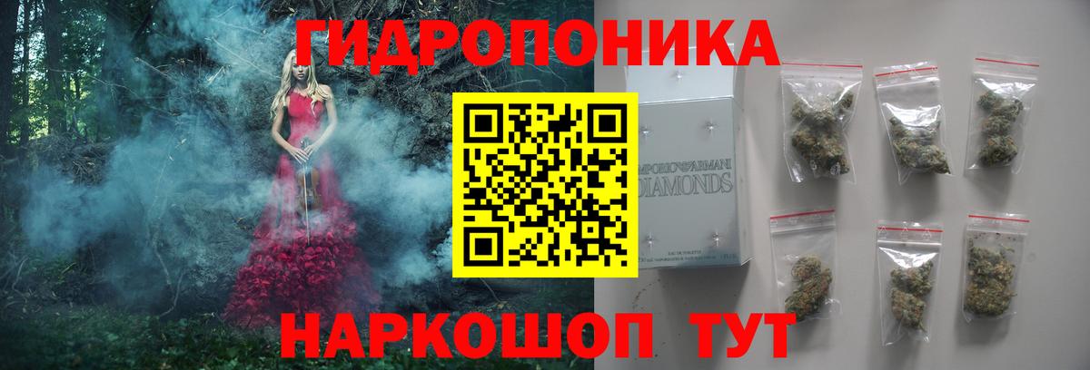 Шишки марихуана AK-47  Вход с VPN  Гурьевск  Бошки марихуана планчик  Шишки марихуана гибрид  Бошки марихуана SATIVA & INDICA 